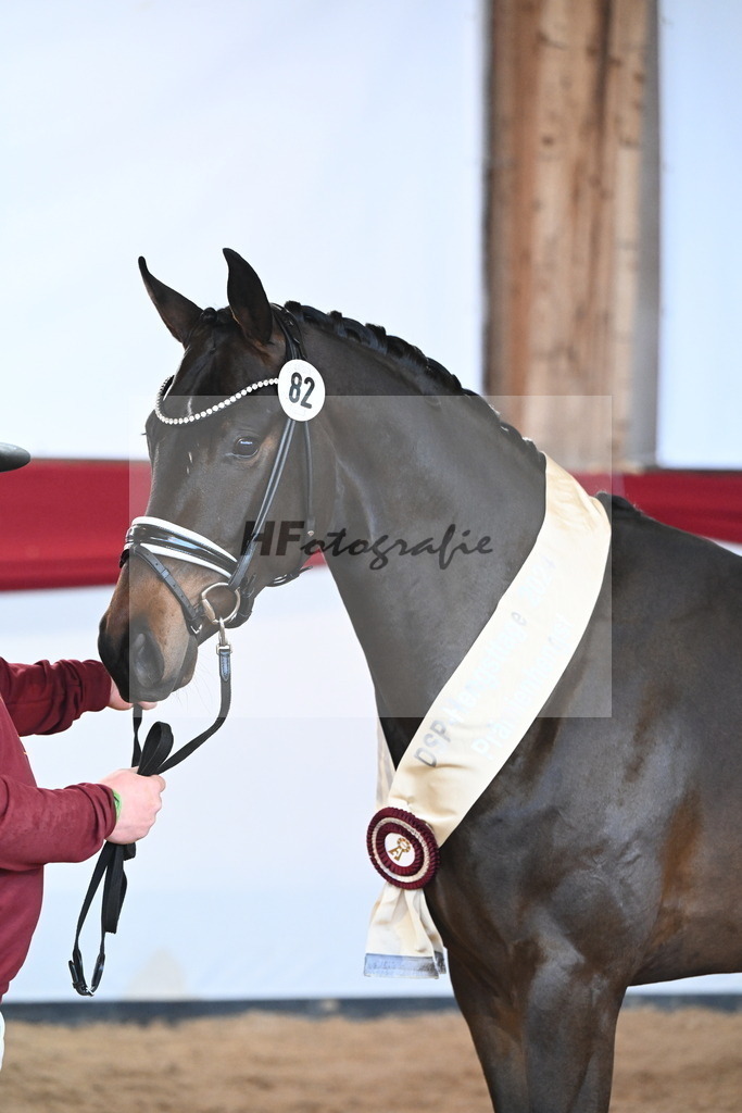 Kat.-Nr. 82 v. Von Und Zu_Berger_2242972 | hf-fotografie - Realisiert mit Pictrs.com