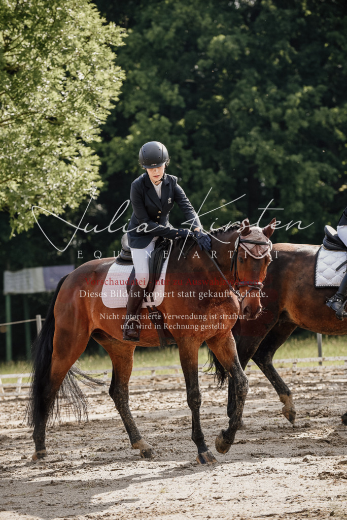 DSC_8692 | Pferde- und Turnierfotografie in Westsachsen. Pferdeportraits, Auftragszeichnungen und intuitive Kunst.
