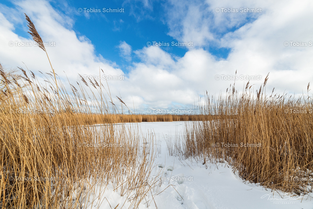 Fehmarn__DSC1969 | Fotoprodukte, Kalender und Wanddeko direkt vom Fotografen auf Fehmarn. Ob Wandbild auf Alu-Dibond, hinter Acrylglas oder auf Leinwand – hier können Sie Ihr Lieblingsbild kaufen. - Realisiert mit Pictrs.com