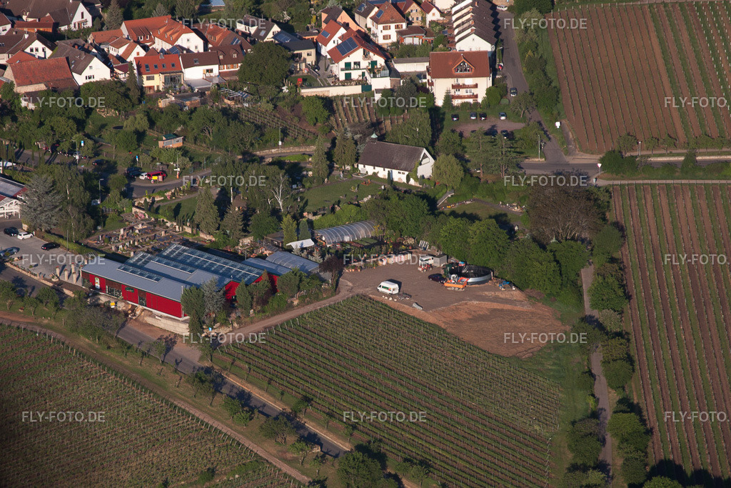 Blumen Schupp | Luftbild: Blumen Schupp im Ortsteil Gimmeldingen in Neustadt im Bundesland Rheinland-Pfalz in Deutschland. Foto: IMG_64642.jpg vom 04.05.2014 durch Werner Riehm/FLY-FOTO.de - Realisiert mit Pictrs.com