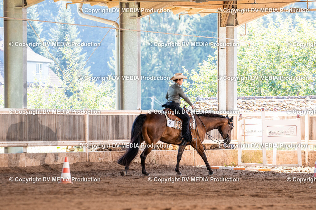 Erbach Tag 3-350 | dv-media-shop - Realisiert mit Pictrs.com