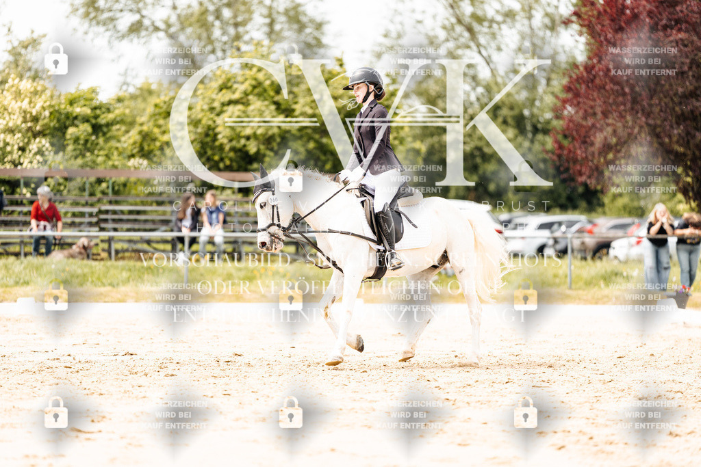 CK902272 | Turnierfotografie Pferdefotografie Trier Rheinland-Pfalz Pferdesport Reitsport Tierfotografie Sportfotografie Pferdevideo Pferdevideografie Equestrianvideography equestrianphotography  - Realisiert mit Pictrs.com