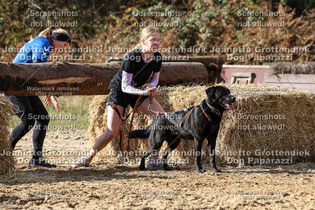 Dog Paparazzi - Strongdog 10-25-4926 | Dog Paparazzi Jeanette Grottendiek Fotografie & Videografie - Realisiert mit Pictrs.com