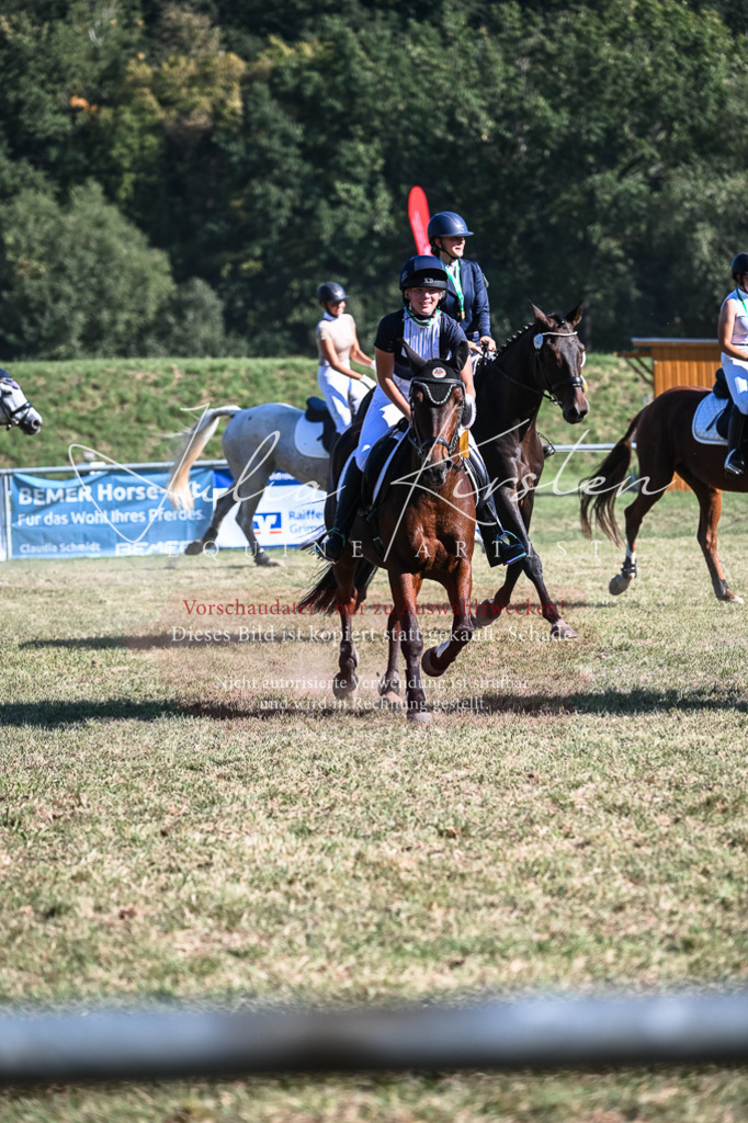 DSC_7152 | Pferde- und Turnierfotografie in Westsachsen. Pferdeportraits, Auftragszeichnungen und intuitive Kunst.
