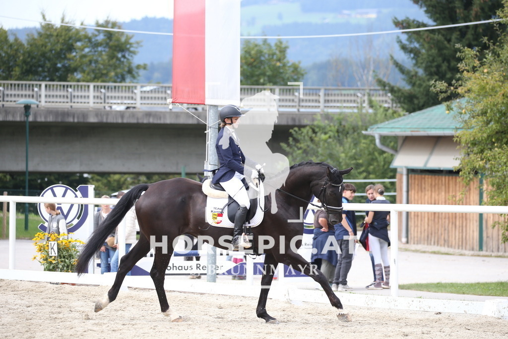DL2Q3833 | Willkommen bei Brunnmayr - Design & Fotografie – Ihrem Spezialisten für Reitturniere und Pferdeveranstaltungen in Oberösterreich, Salzburg und Bayern! Seit über 17 Jahren sind wir leidenschaftlich dabei.