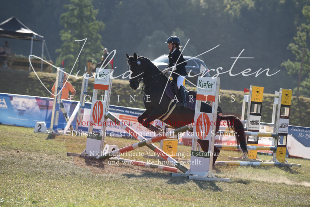 DSC_5707 | Pferde- und Turnierfotografie in Westsachsen. Pferdeportraits, Auftragszeichnungen und intuitive Kunst.