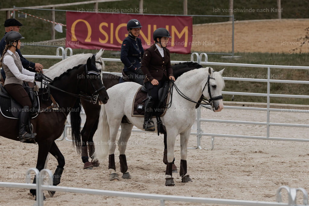 WE__Stoib_Rinder_PI2025_3199 | Pferd International München 2025