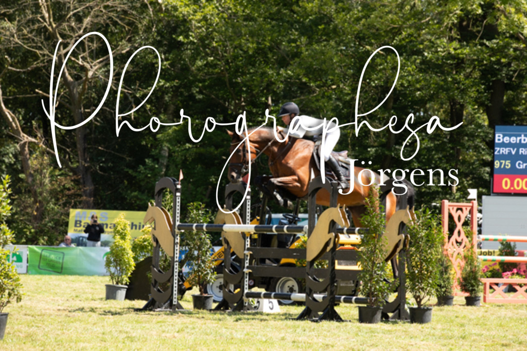 IMG_9140 | photographesa-joergens - Realisiert mit Pictrs.com