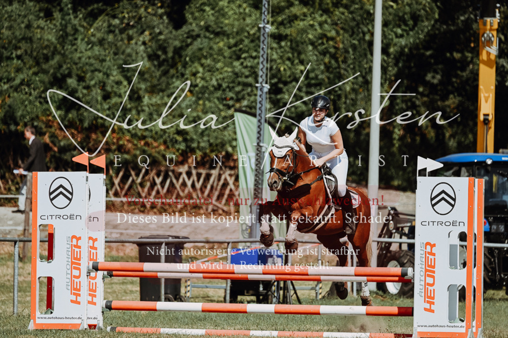 DSC_0024 | Pferde- und Turnierfotografie in Westsachsen. Pferdeportraits, Auftragszeichnungen und intuitive Kunst.