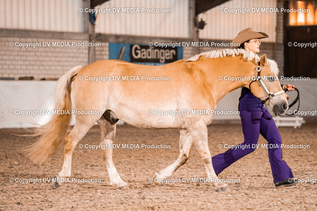 ZH100045 | dv-media-shop - Realisiert mit Pictrs.com