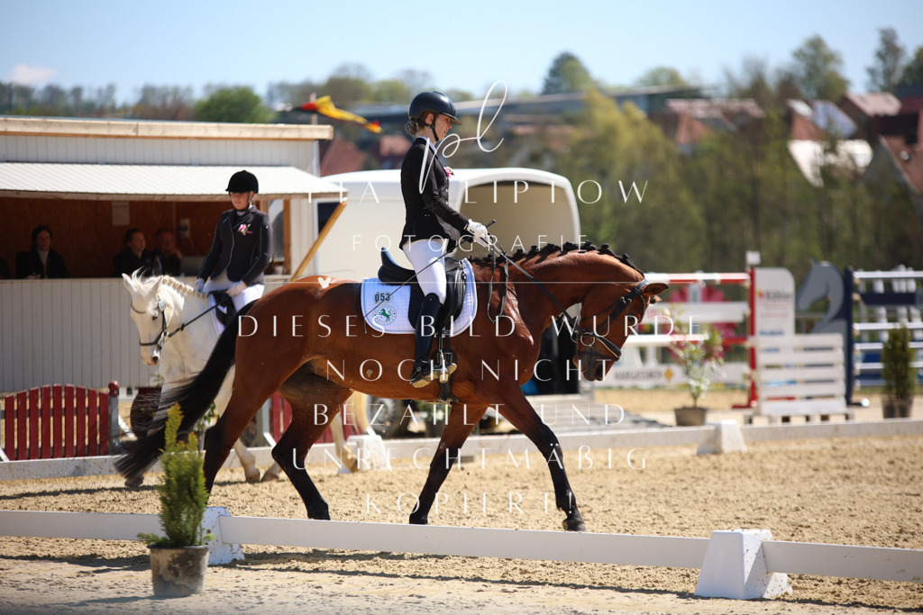 IMGT1142 | pl-fotografie