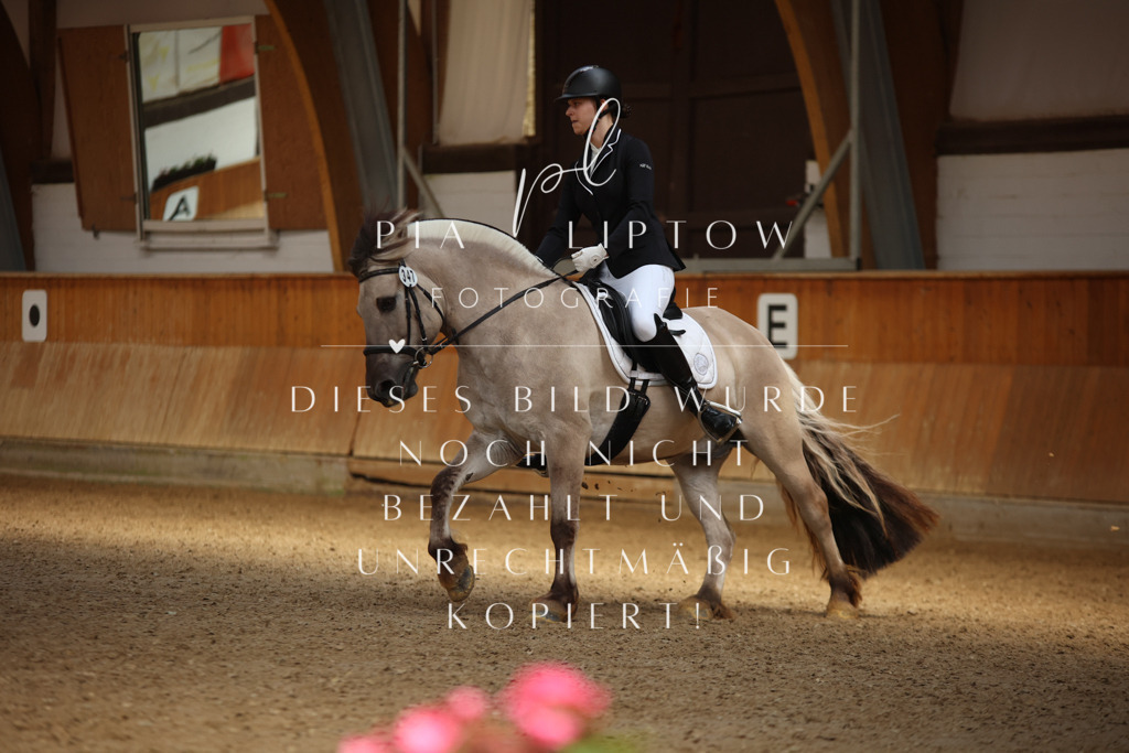 IMGM4786 | pl-fotografie