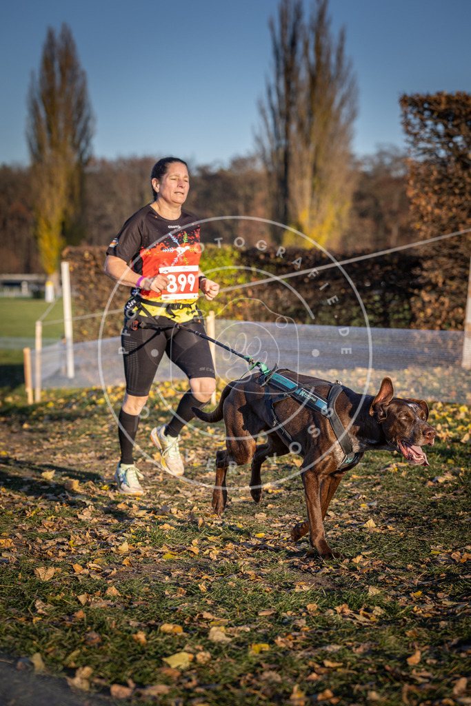 CaniXpix_DV3A4595 | Hundefotografie, Tierfotograf, Pfotenfotografie, Fotoshooting Hund, Hunde Portrait, Hundesport, Hundeportraits, Heideshooting, Hunde, Sportfotograf, Hundefotograf, Turnierhundsport, THS,  - Realisiert mit Pictrs.com