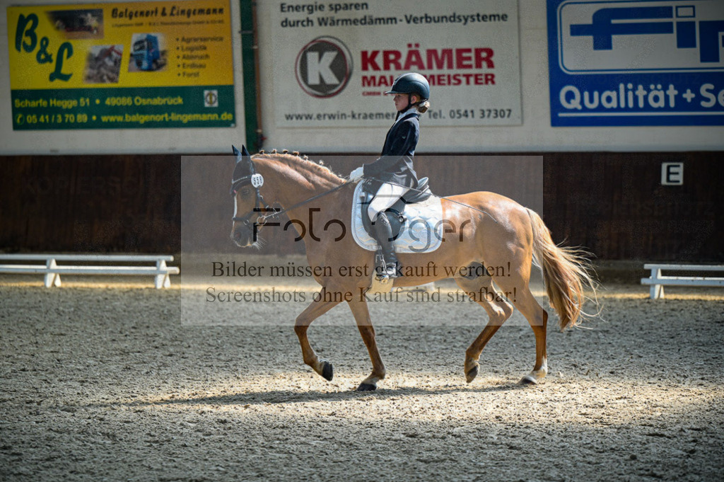 Reitturnier Voxtrup | Entdecke hochwertige Reitturnierfotos von Foto Oger. Professionell, emotional und authentisch – jetzt Lieblingsmomente im Shop bestellen.Deutschlandweite Turnierfotografie. - Realisiert mit Pictrs.com