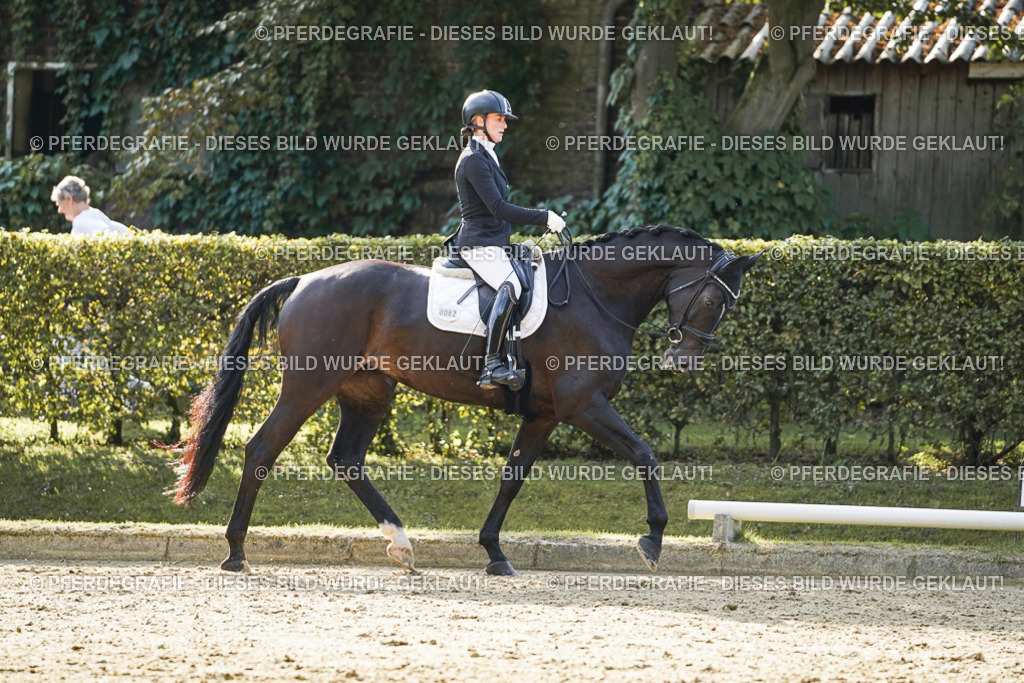 DSC05626 | Pferdegrafie