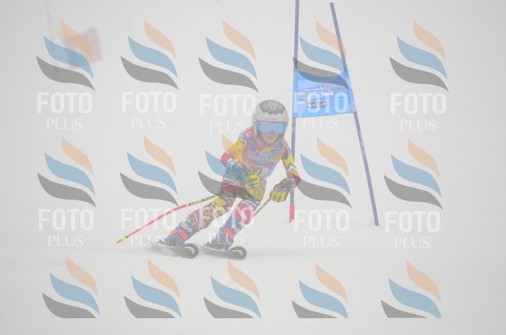 C1228 | holidayphoto