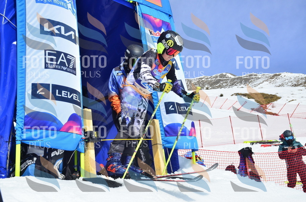 _ELE1761 | holidayphoto