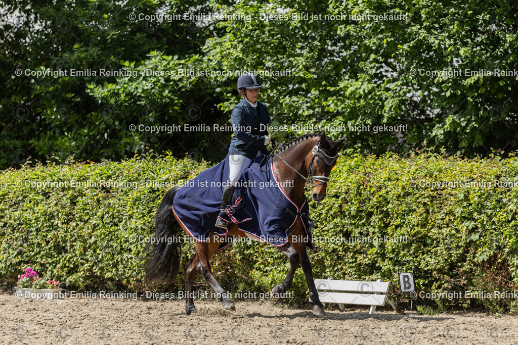 CL5A0500 | Emilia Reinking Fotografie - Realisiert mit Pictrs.com