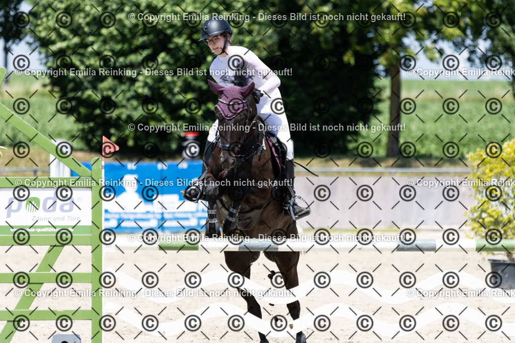 CL5A3369 | Emilia Reinking Fotografie - Realisiert mit Pictrs.com