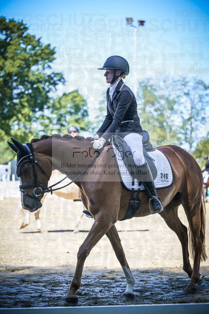 DOS_6170 | Entdecke hochwertige Reitturnierfotos von Foto Oger. Professionell, emotional und authentisch – jetzt Lieblingsmomente im Shop bestellen.Deutschlandweite Turnierfotografie. - Realisiert mit Pictrs.com
