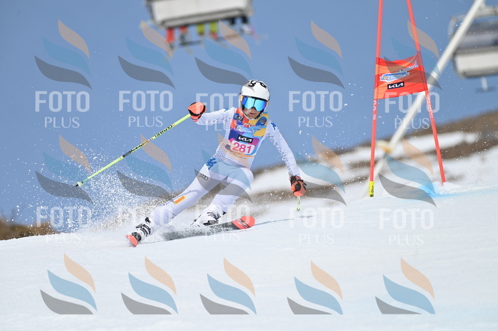 BGV_2418 | holidayphoto