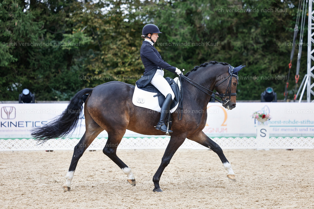 12-074-DRESSUR  S___  -StoibPH-5349 | working equitationturnier fotograf videograf stoibphotography marixx film working equitation deutschland reitsport turnierfotografie eventfotografie equestrian events