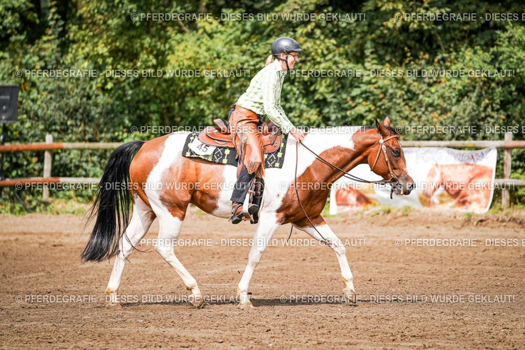 DSC07172 | Pferdegrafie