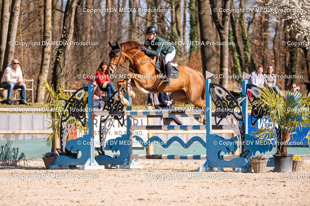 Kranichstein Tag 2-795 | dv-media-shop - Realisiert mit Pictrs.com