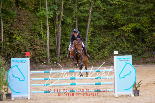 IMG_6212 | Turniersportfotografie; Pferdefotografie; Dressurfotografie