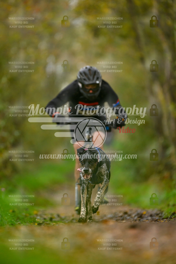 MompixPhotography_20TSB_E6_DS1-18 | PayLife