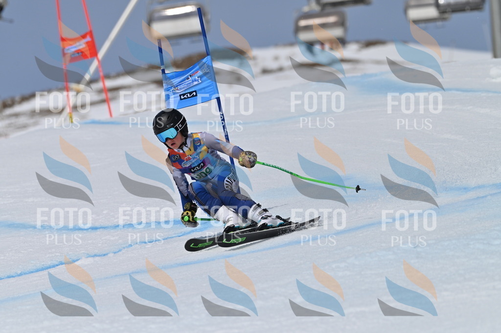 BGV_6125 | holidayphoto