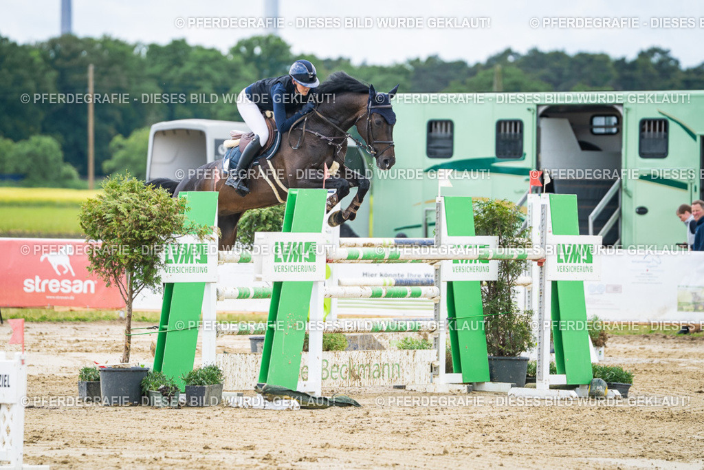 DSC04595 | Pferdegrafie