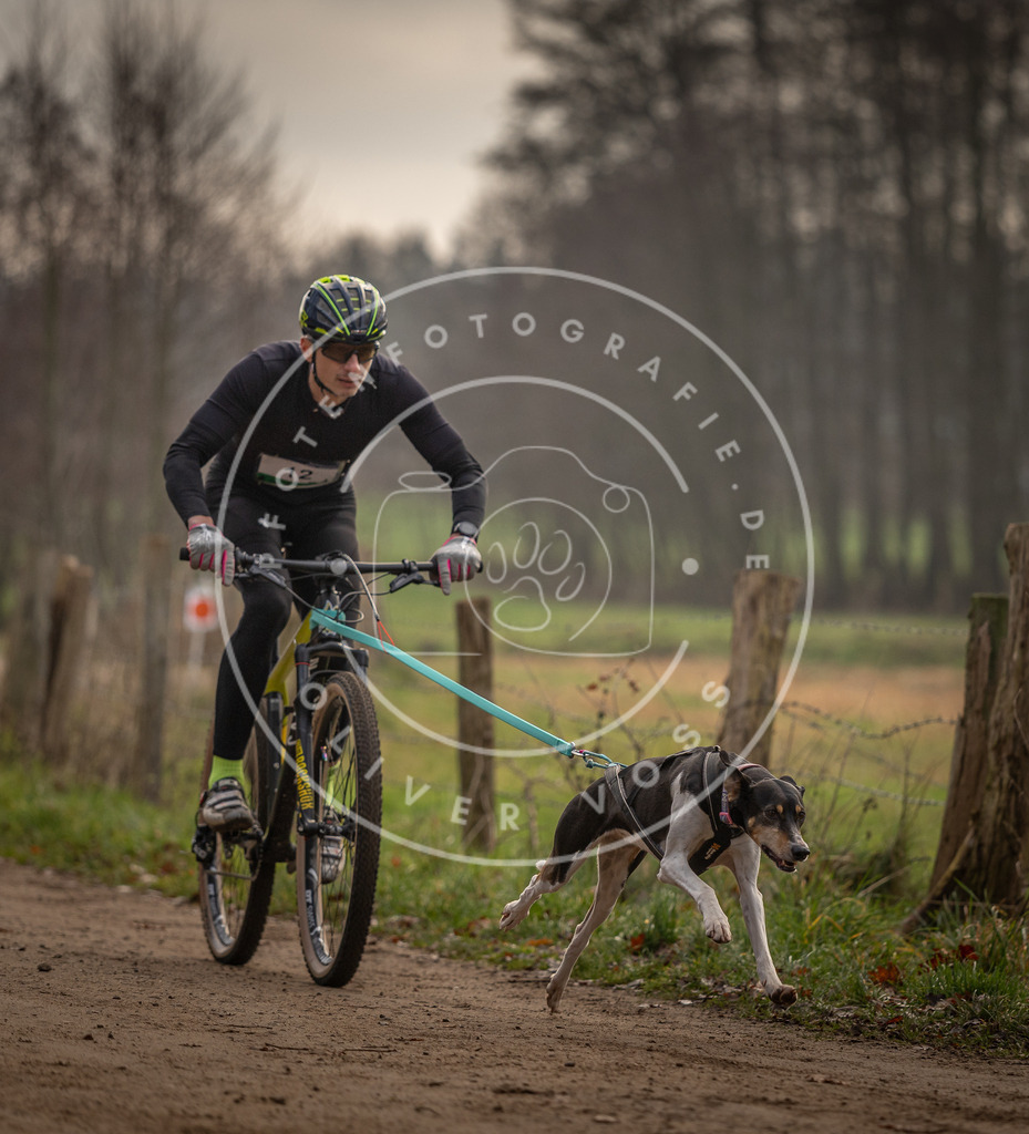 Pfotenfotografie_DV3A1782 | Hundefotografie, Tierfotograf, Pfotenfotografie, Fotoshooting Hund, Hunde Portrait, Hundesport, Hundeportraits, Heideshooting, Hunde, Sportfotograf, Hundefotograf, Turnierhundsport, THS,  - Realisiert mit Pictrs.com