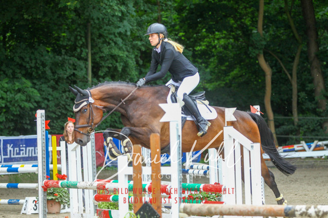 DKP44986 | Turniersportfotografie; Pferdefotografie; Dressurfotografie