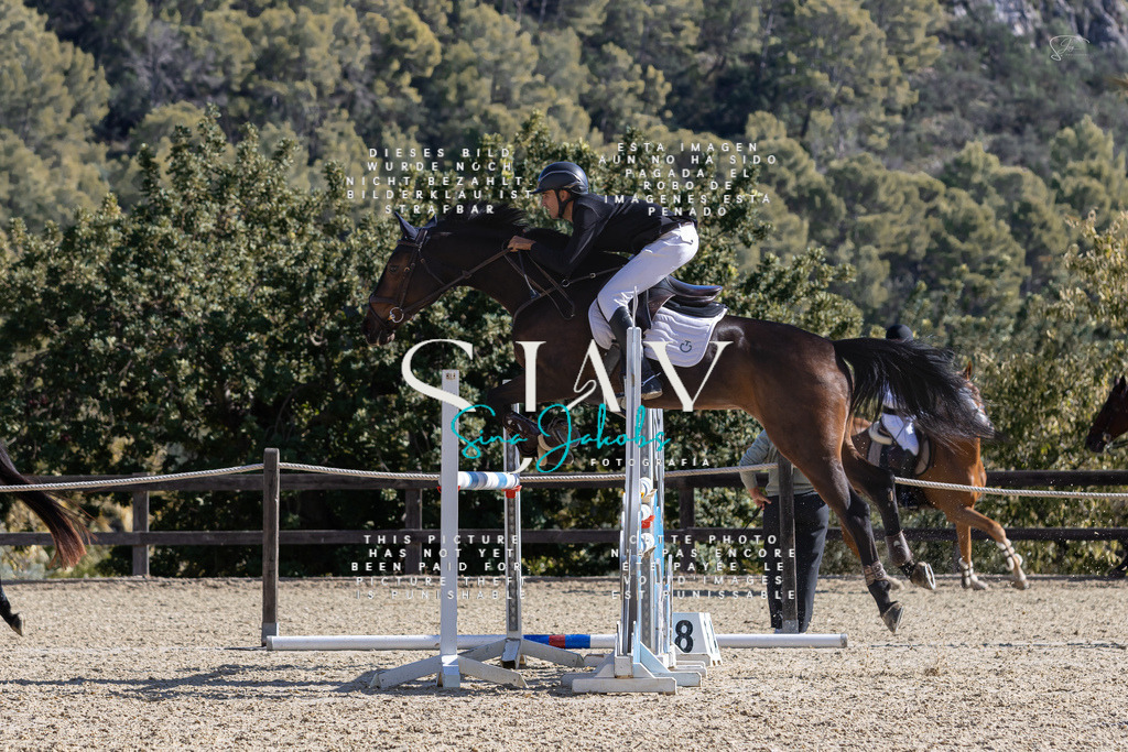 IMG_0313 | s-jay-photography - Realisiert mit Pictrs.com