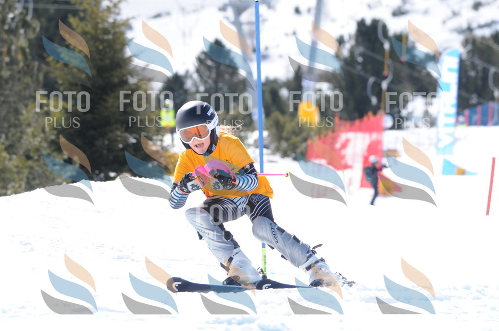 C9190 | holidayphoto