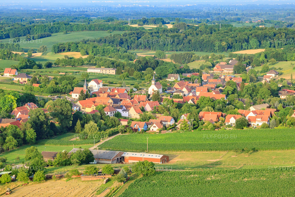 Vue aérienne: Vue de la ville depuis l'est à Wintzenbach dans le département Bas Rhin, France – .Photo: IMG_30624.jpg prise le 09/07/2010 par Werner Riehm/FLY-FOTO.eu – Résolution de l'original: 4528 x 3019 px