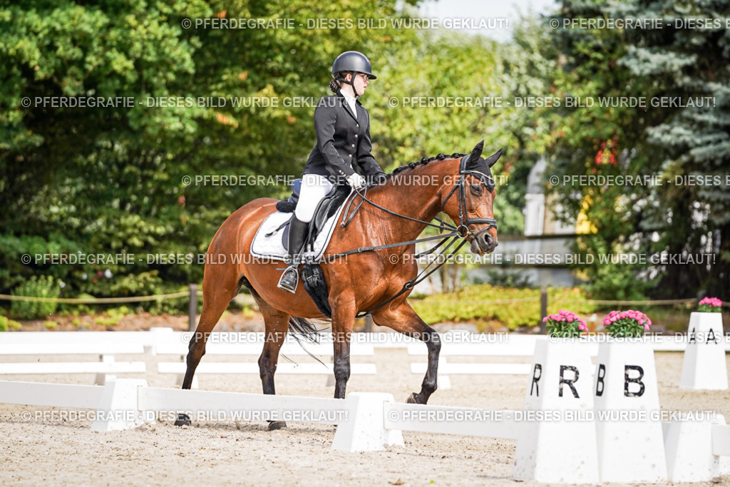 DSC02539 | Pferdegrafie