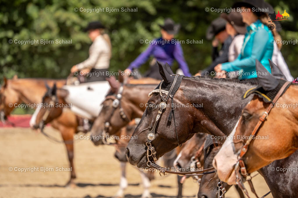 LMS05367 | BS-foto