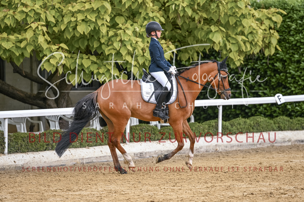 Schugtsche-Aluta25-43.EDressur -193 | Schugtsche Fotografie - Realisiert mit Pictrs.com