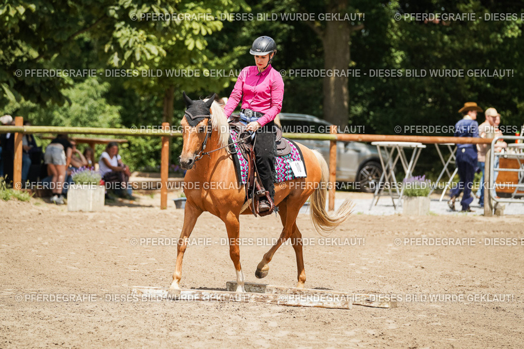 DSC08049 | Pferdegrafie