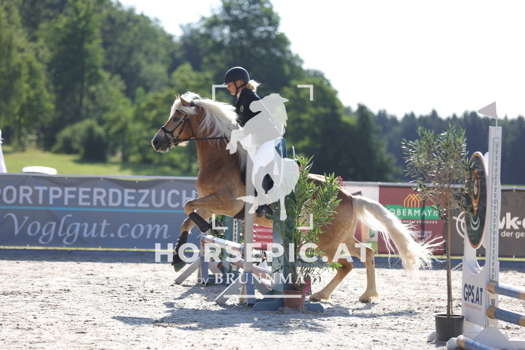 0P6A3431 | Willkommen bei Brunnmayr - Design & Fotografie – Ihrem Spezialisten für Reitturniere und Pferdeveranstaltungen in Oberösterreich, Salzburg und Bayern! Seit über 17 Jahren sind wir leidenschaftlich dabei.