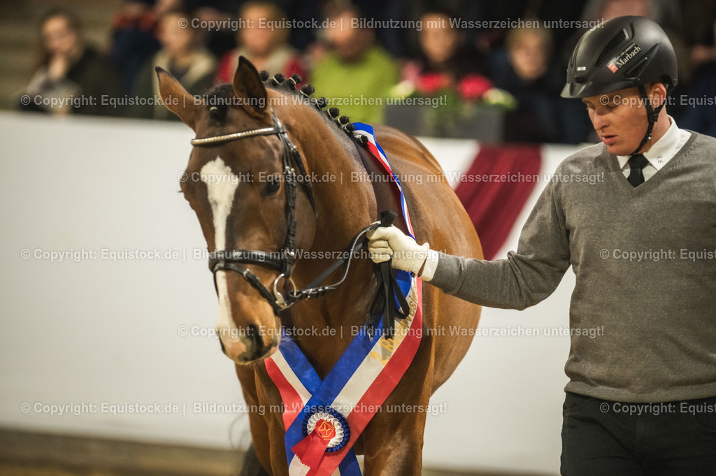 20240302_Hengstvorstellung_Marbach_TOMsPiC_0474-2 | equistock