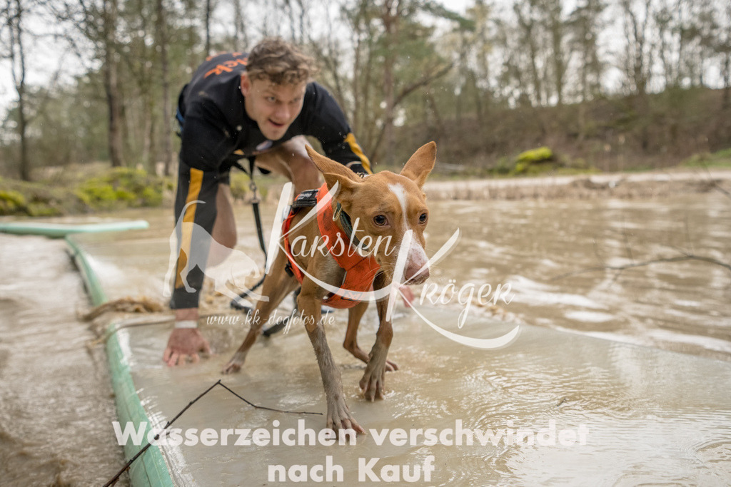 1339_ZZ90343-Bearbeitet | kk-dogfotos