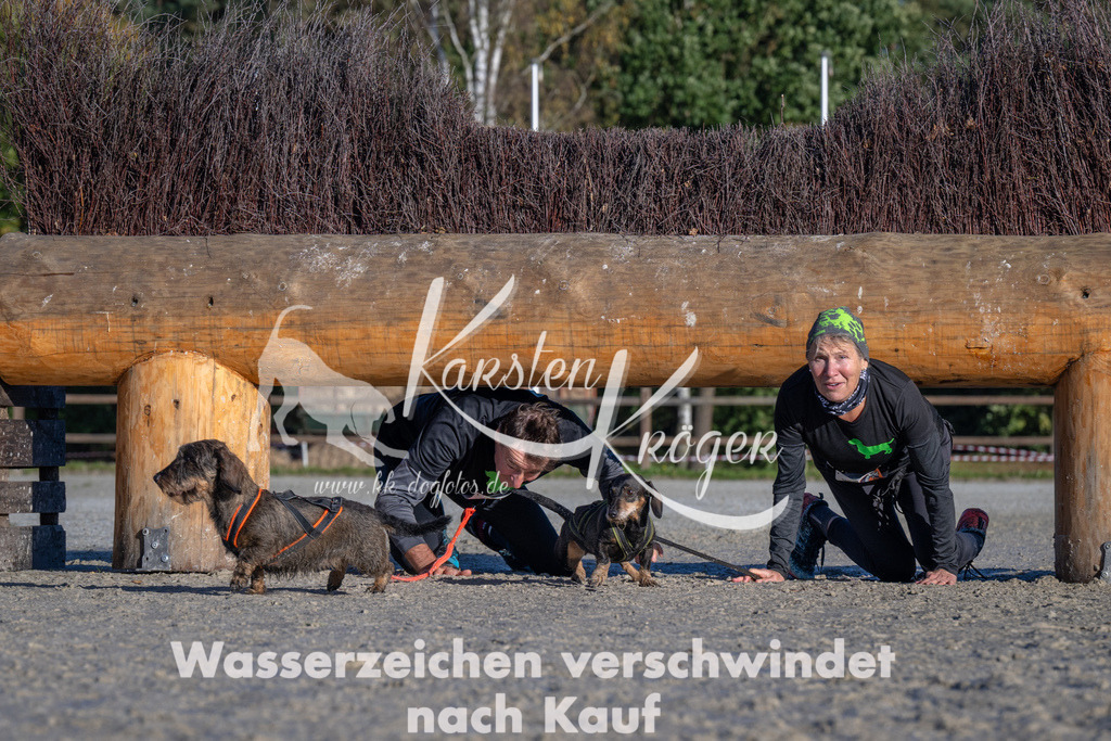 1020-_ZZ90761 | kk-dogfotos