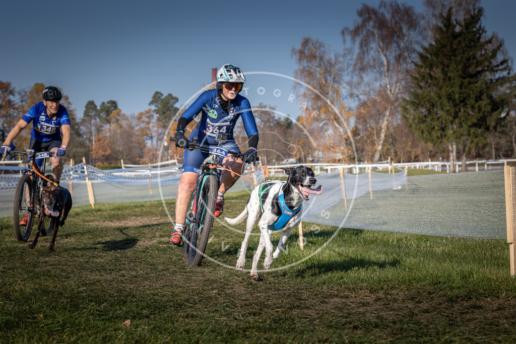 CaniXpix_0L8A8003 | Hundefotografie, Tierfotograf, Pfotenfotografie, Fotoshooting Hund, Hunde Portrait, Hundesport, Hundeportraits, Heideshooting, Hunde, Sportfotograf, Hundefotograf, Turnierhundsport, THS,  - Realisiert mit Pictrs.com