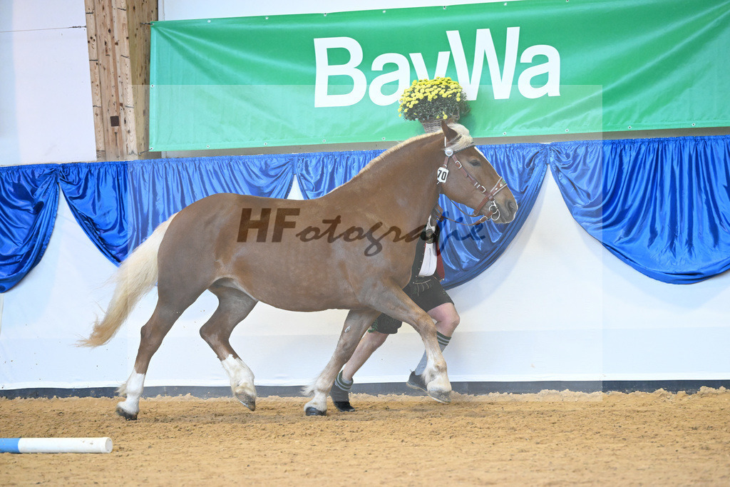 Kat-Nr. 70 Paula_Multerer_53220286 | hf-fotografie - Realisiert mit Pictrs.com