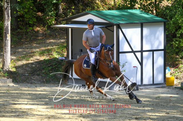 DKP43334 | Turniersportfotografie; Pferdefotografie; Dressurfotografie