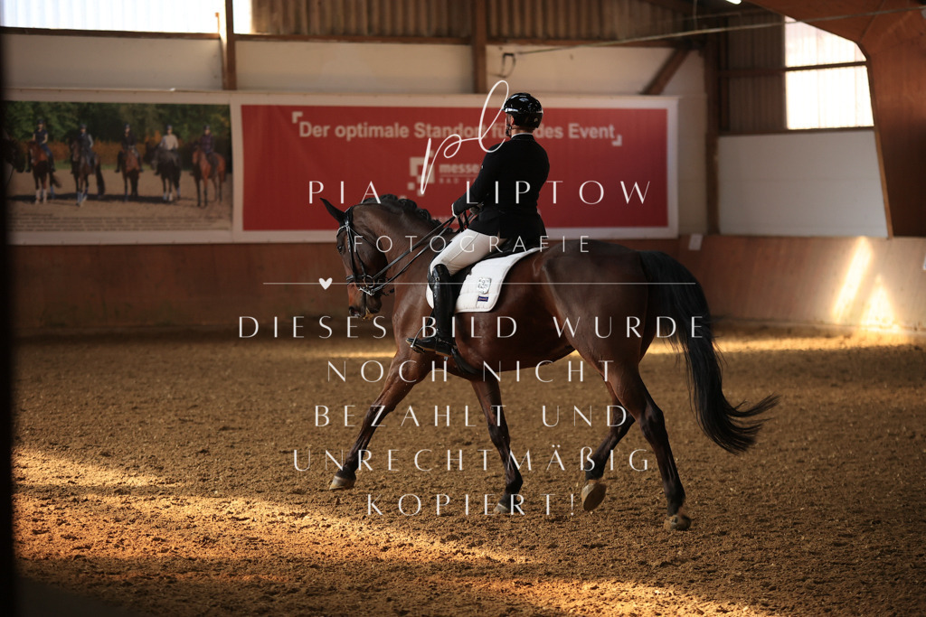 IMGT1381 | pl-fotografie