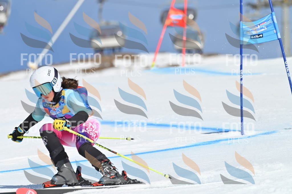 BGV_9167 | holidayphoto